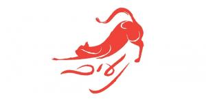 סטודיו נעים לוגו פילאטיס מכשירים Wo 300 148